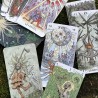 Tarot de Monthoux